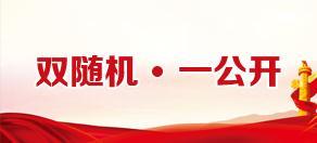 双随机、一公开